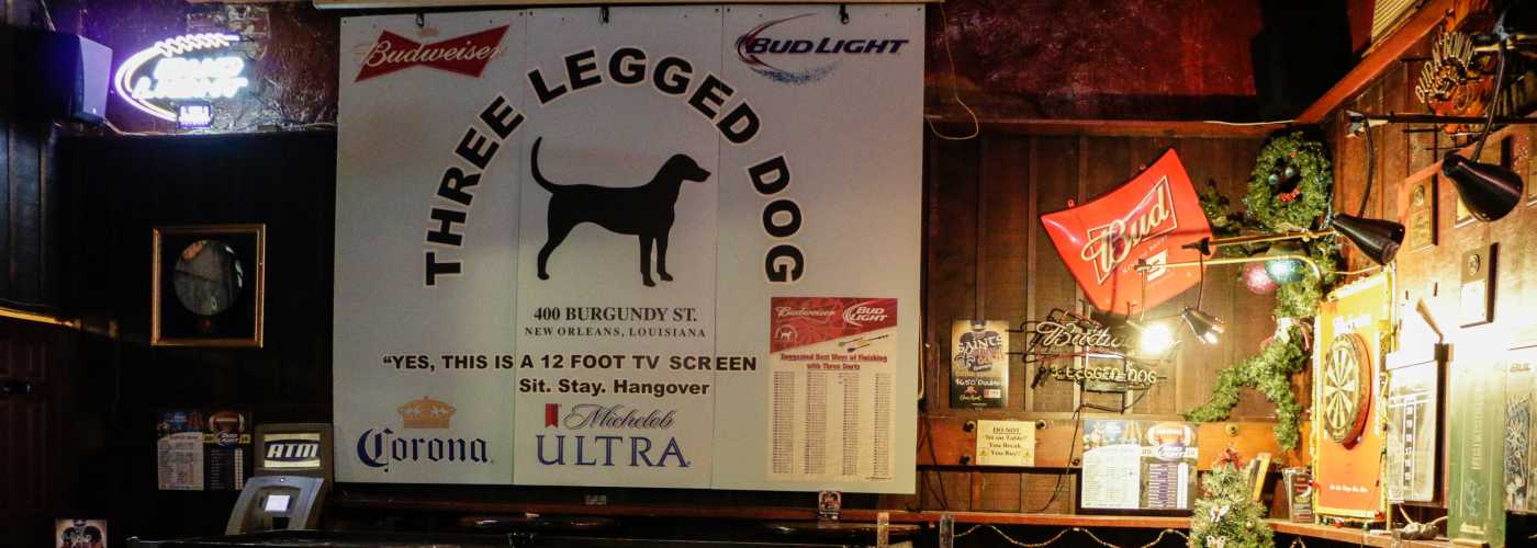 Three Legged Dog