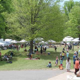 Asheville Nc Events November 2022