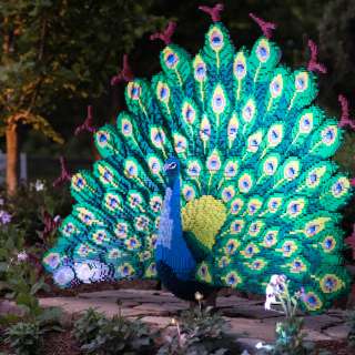 Asheville Events Calendar All Events Asheville Nc S Official