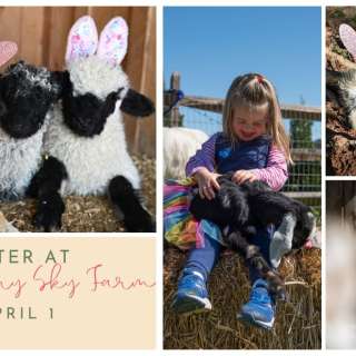 Easter at Montgomery Sky Farm