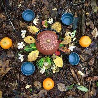 Refresh & Reset: Forest Bathing & Nature Therapy Walk