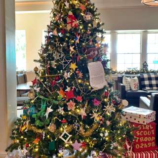 Deck The Trees