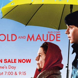 HAROLD AND MAUDE  (SHOWTIMES: 7pm and 9:15pm)
