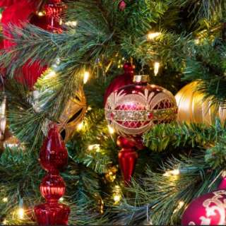 Winter Tree Carnival