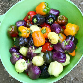 Anti-Inflammatory Diet (Prevent Disease)