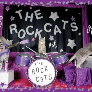 The Amazing Acro-cats in Asheville!