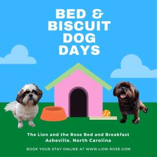 Bed & Biscuit Dog Weeks