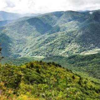 Cold Mountain Hike
