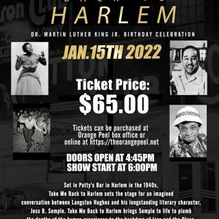Take Me Back to Harlem