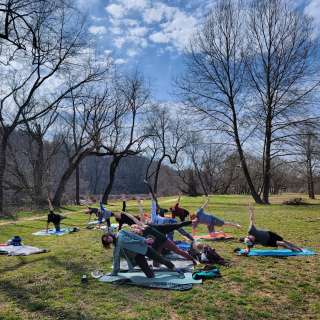 Yoga in the Park Asheville