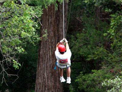 Zip Lining In Texas Family Friendly Tours Adventure Courses