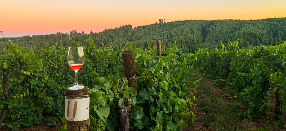 Wine Country Junction City Eugene Cascades Oregon Coast
