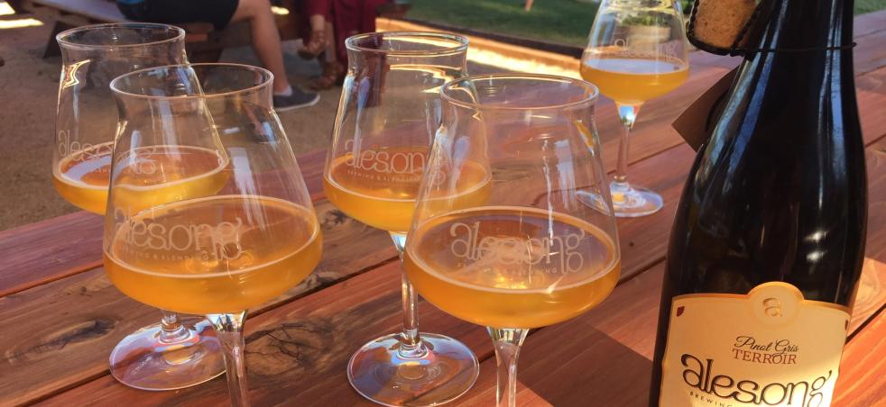 Beer Festivals Events Eugene Cascades Oregon Coast