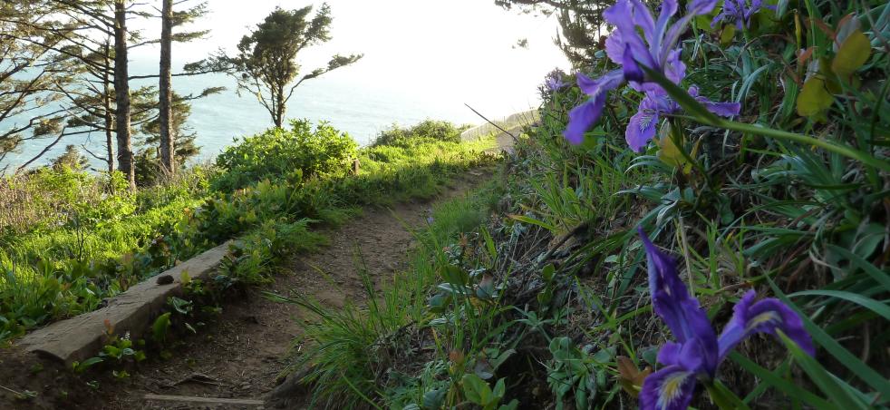 Hiking Trails Eugene Cascades Oregon Coast