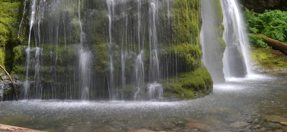 Vær opmærksom på Flåde Skulle Waterfalls | Hot Springs | Public Parks | Eugene, Cascades & Oregon Coast