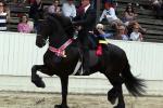 Blowing Rock Charity Horse Show - Saddlebred Division