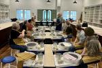 Pottery Class - Introduction to Wheel Throwing