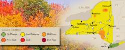 The first signs of near peak fall colors are expected in areas of the Adirondacks region this weekend, along with colors approaching or at midpoint of change in certain parts of the Catskills region, according to observers for Empire State Development’s I LOVE NEW YORK program.