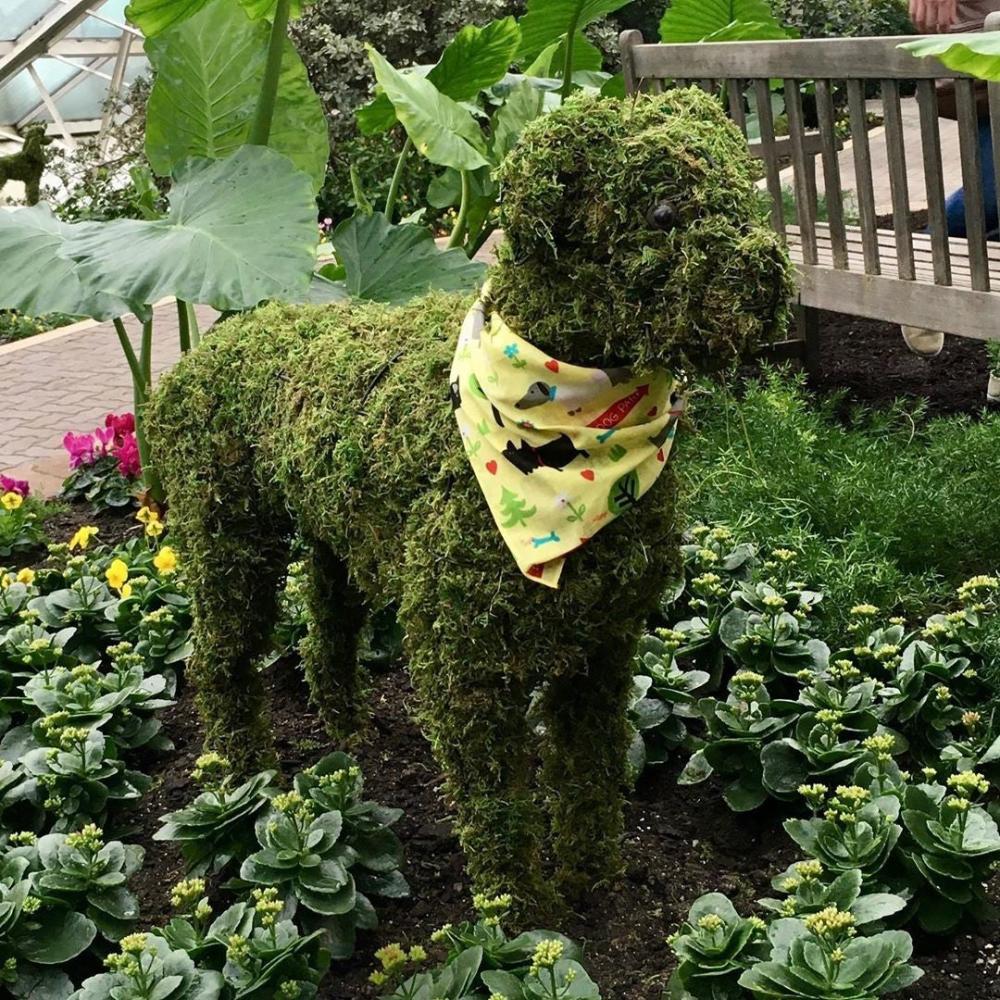 Dog Days of Winter garden display at the Botanical Conservatory