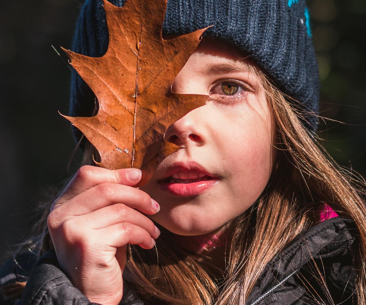 Fall