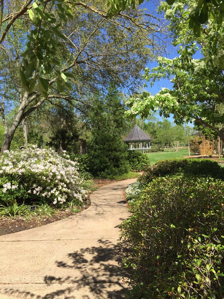 Beaumont Botanical Gardens Gazebo