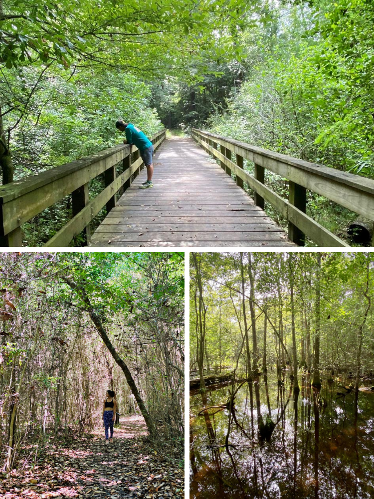 Collage of people exploring the Kirby Nature Trail
