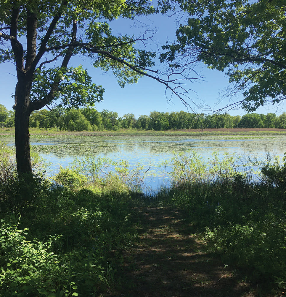 Haley Collins Succession Trail water