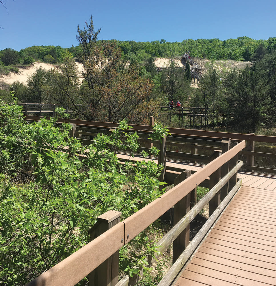 Haley Collins Succession Trail wooden path