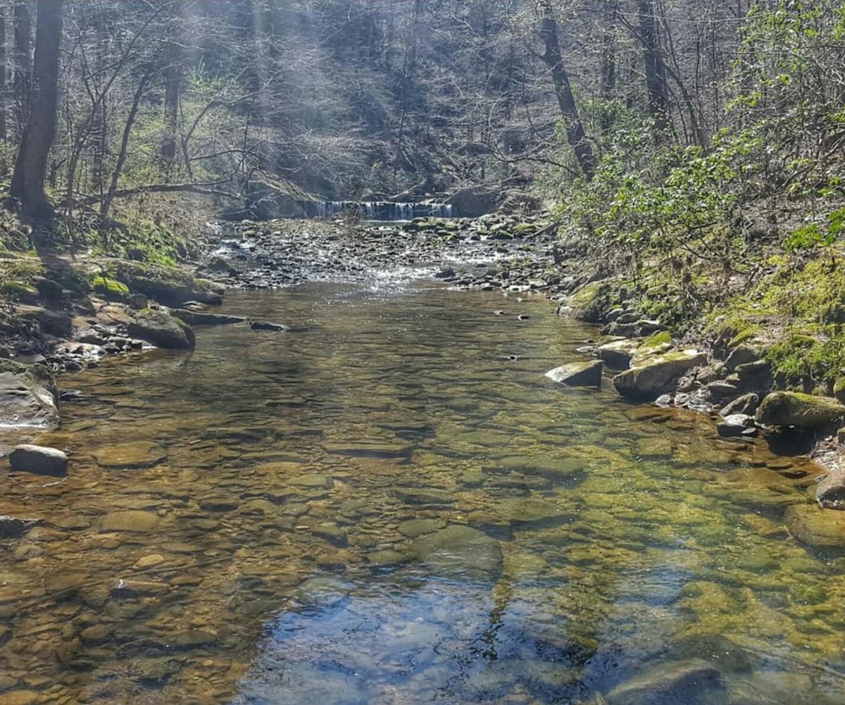 hurricane creek park cody hood