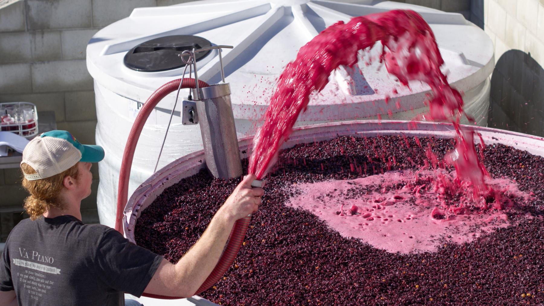 Gibbston Valley Winery - Wine Making