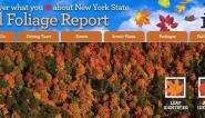 Go to iloveny.com for the latest fall color conditions!