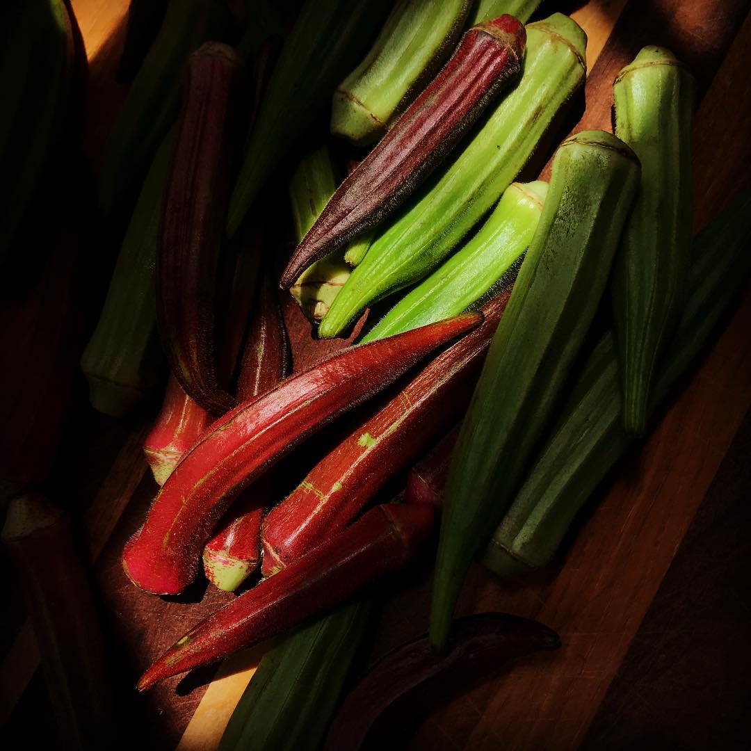 Okra