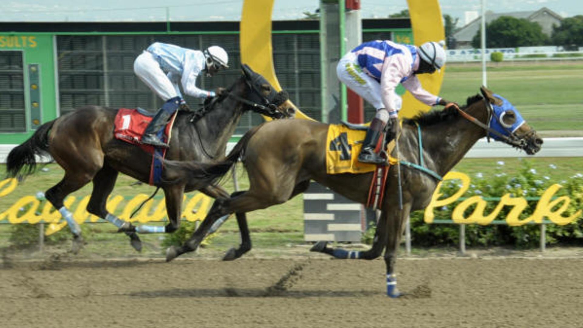 Caymanas Park
