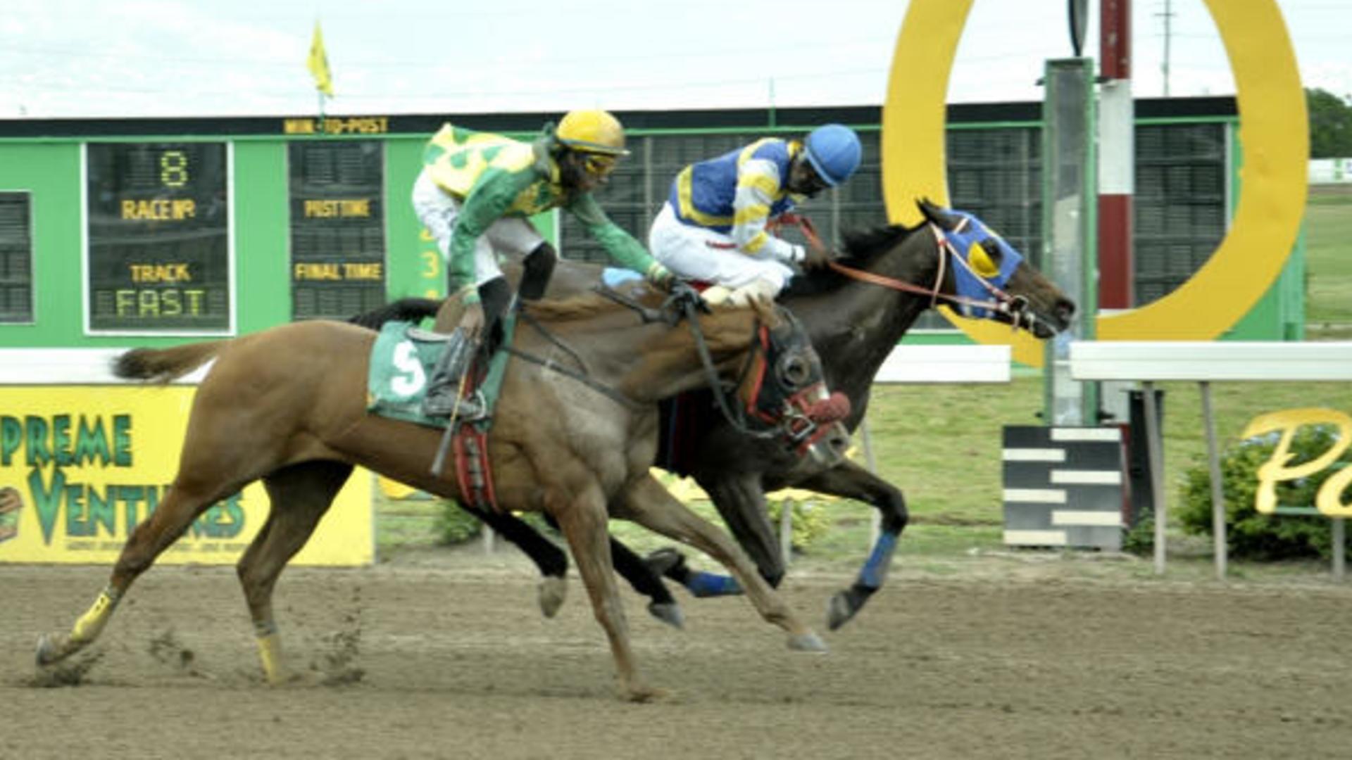 Caymanas Park