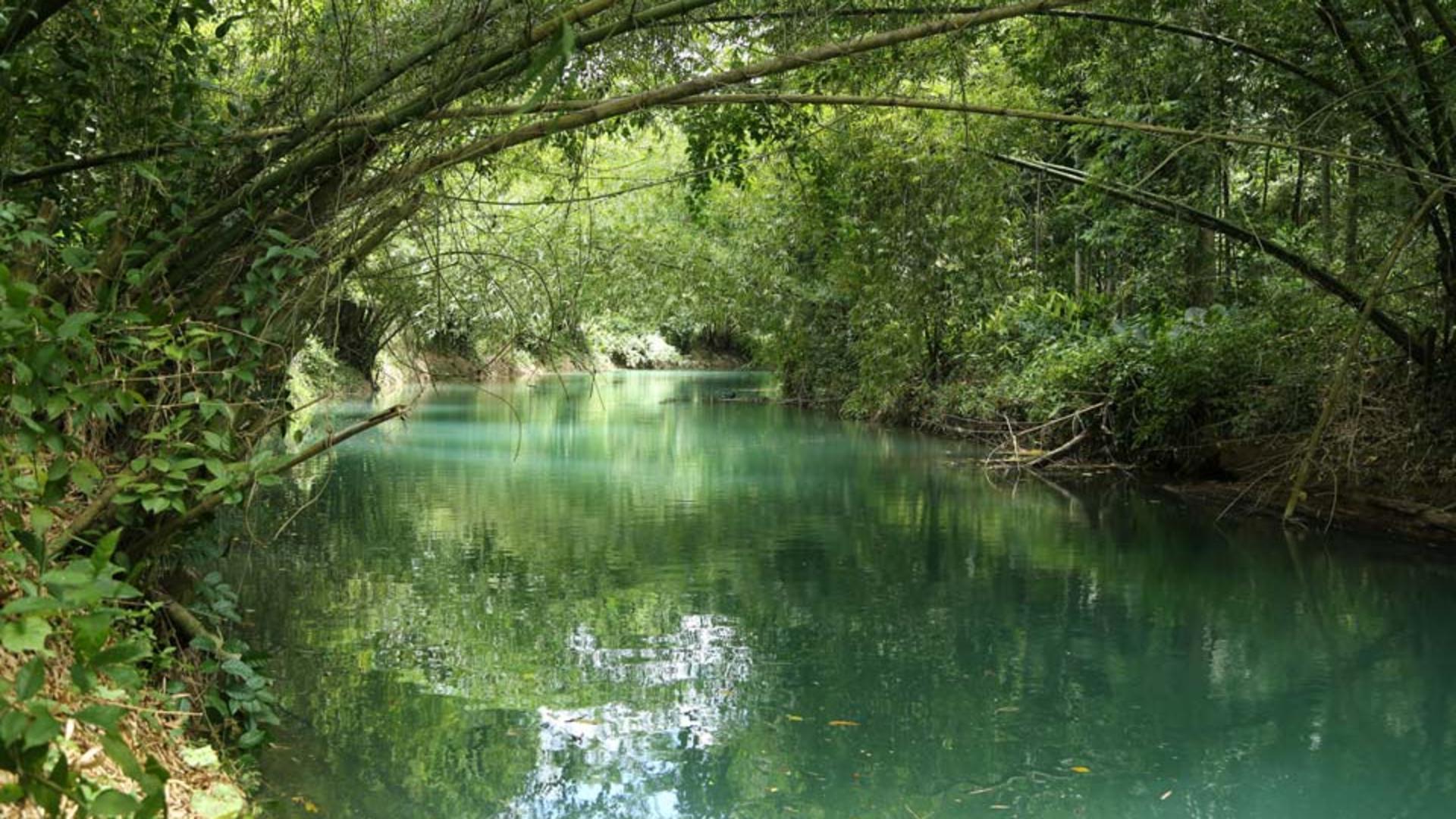 Rafting on the Martha Brae