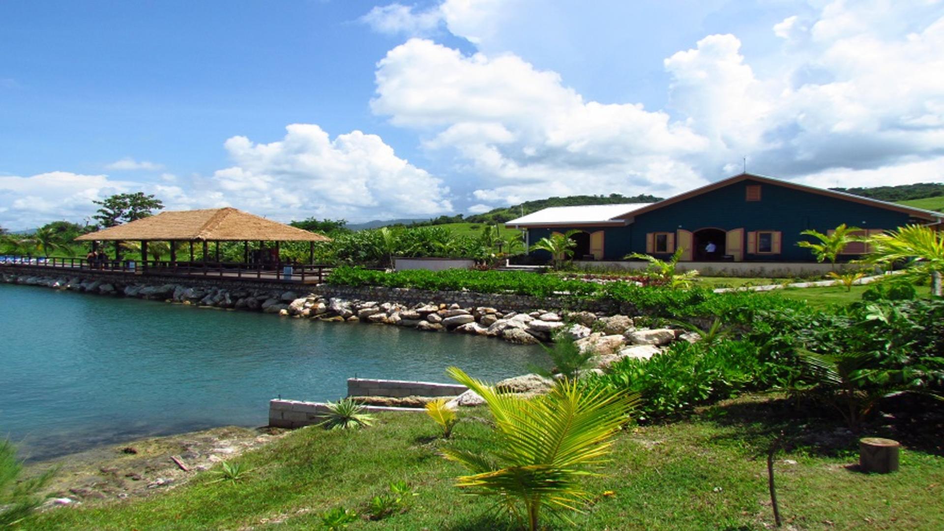 Dolphin Cove Montego Bay