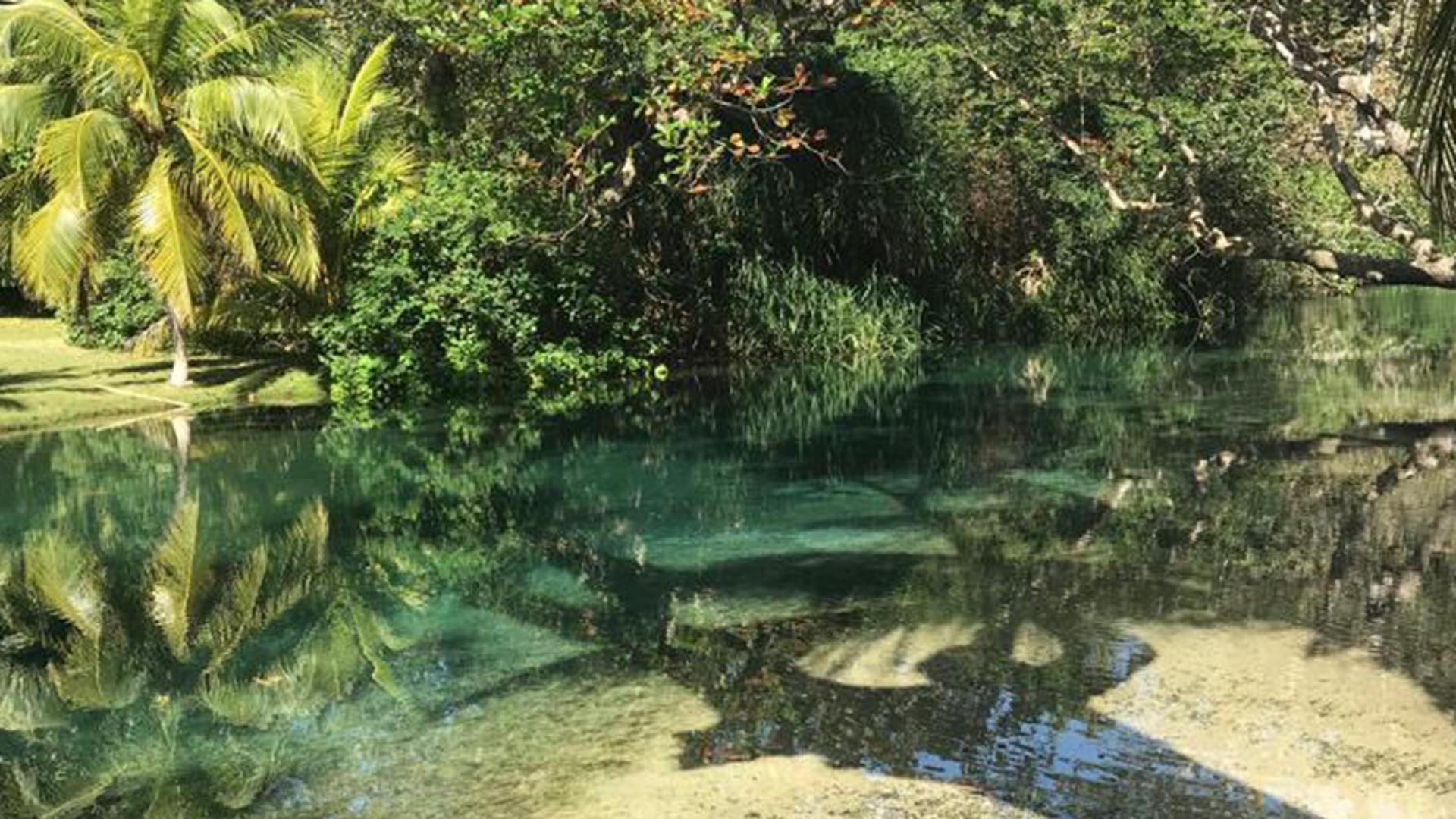 Frenchman's Cove Resort