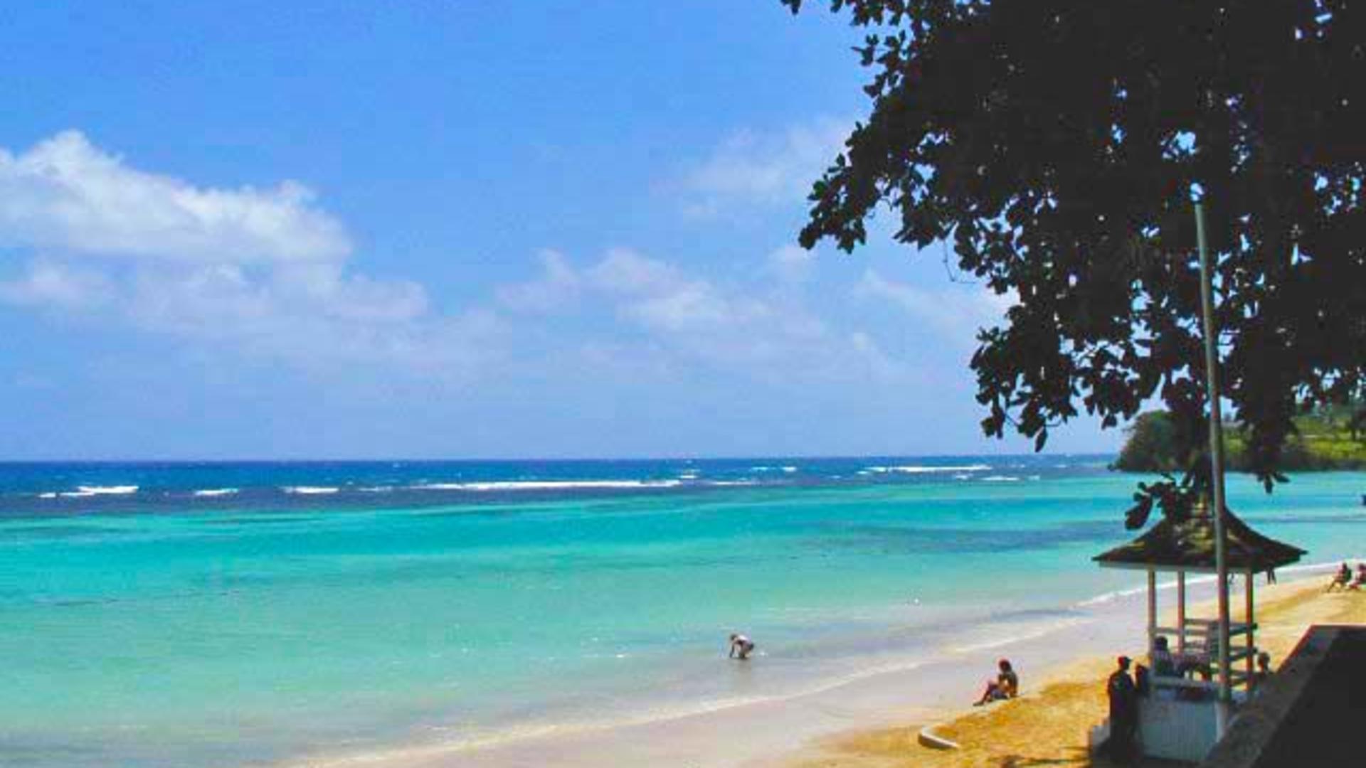 Dunn's River Falls/or_at_dunn69