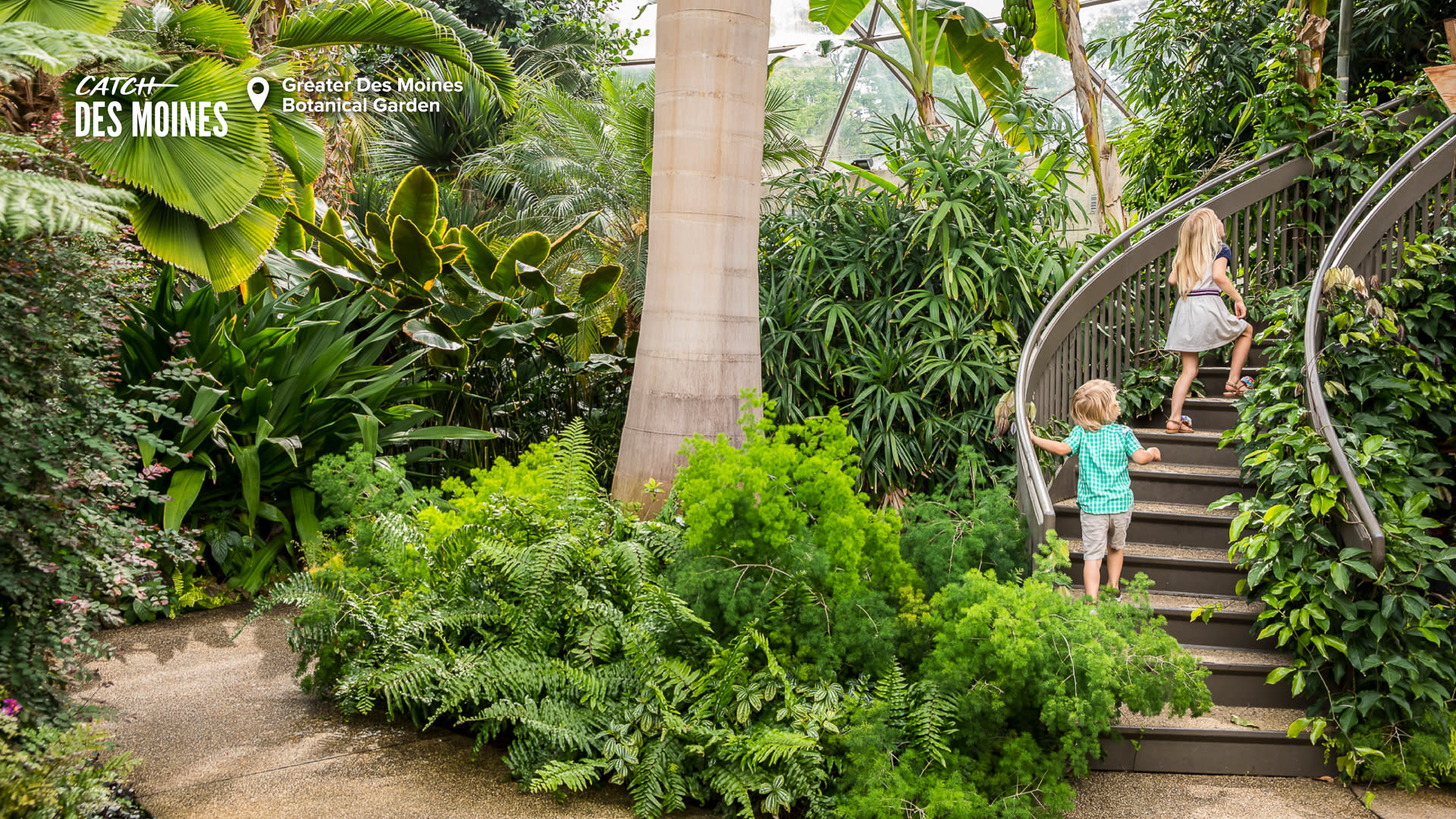 Greater Des Moines Botanical Garden Interior Zoom Background