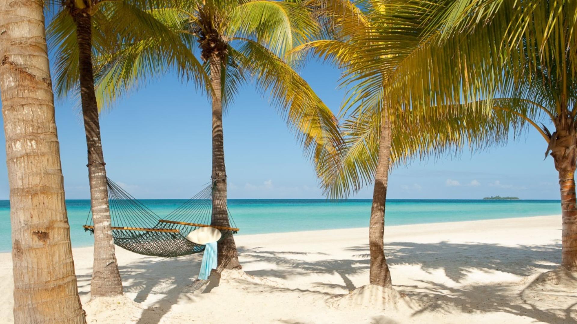 Couples Swept Away - 
