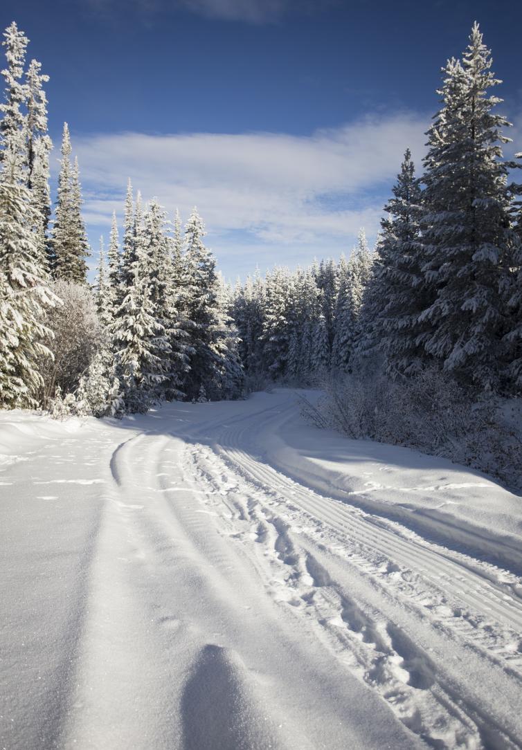 Bear Creek Forest Service Road in the Winter