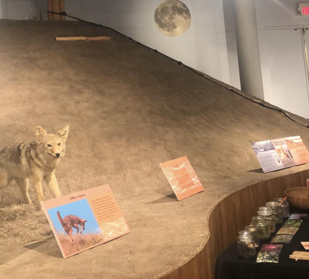 Okanagan Heritage Museum