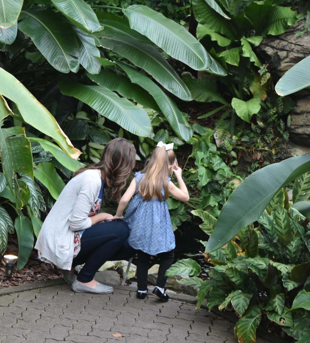 Botanical Conservatory - Indoor Winter Fun