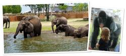 Sedgwick County Zoo Experience