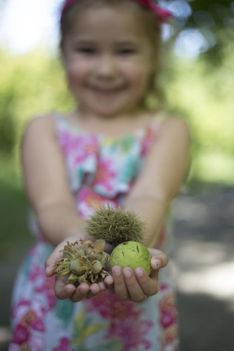 Tree Nuts