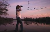 A person bird watching with binoculars at sunrise in Chesapeake VA
