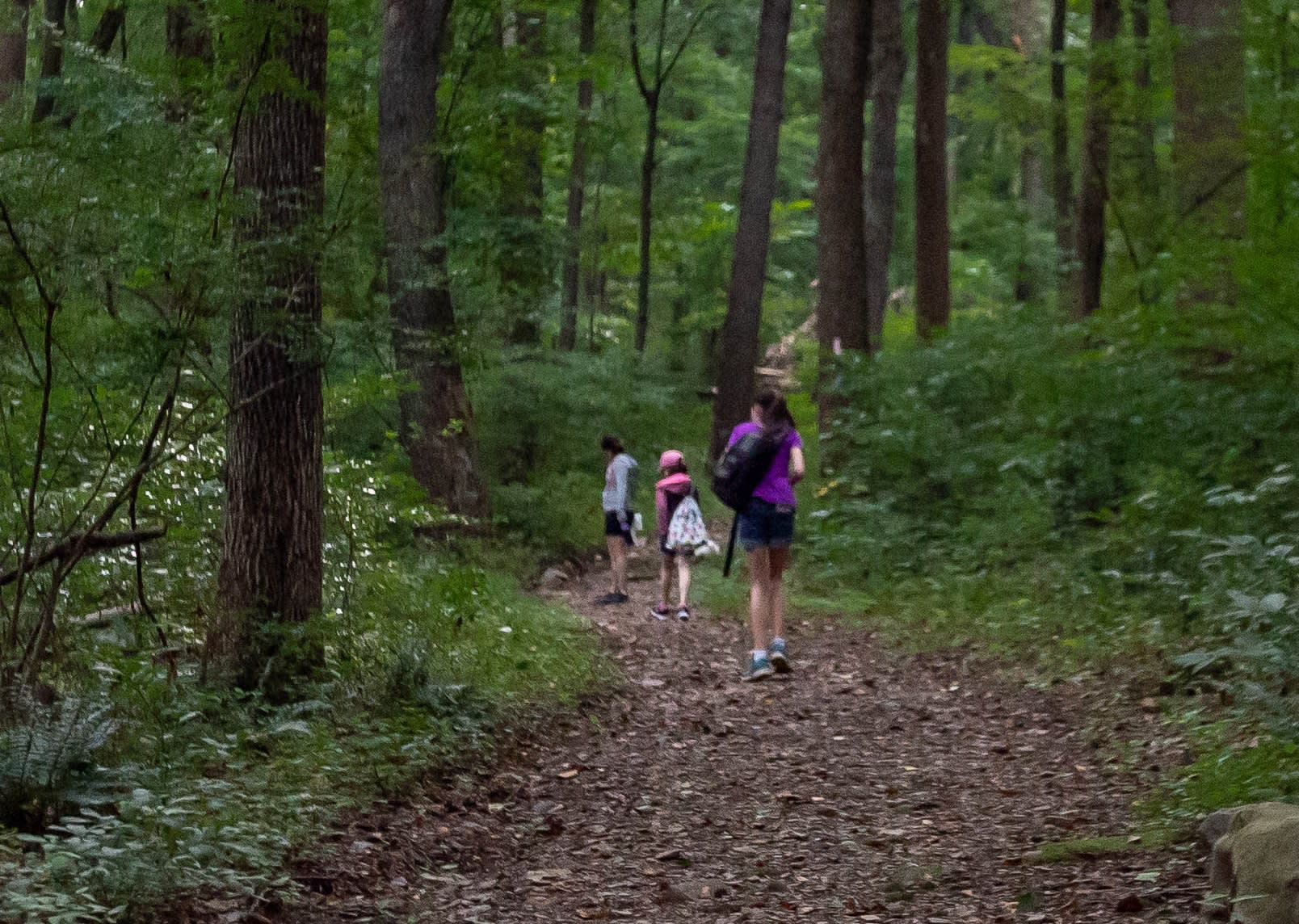 hiking trails in the area