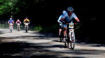 wilmington100_2011-_2.jpg