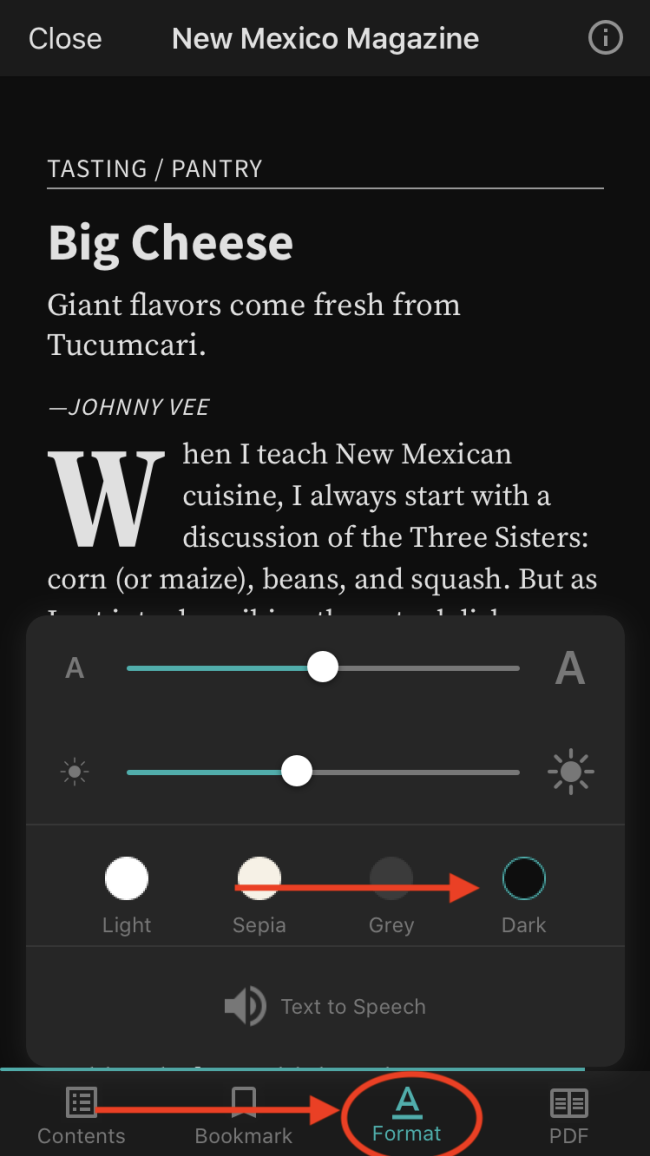 A screenshot of New Mexico Magazine's app, with the menus pulled up to choose contrast level, text size, and text to sppech.