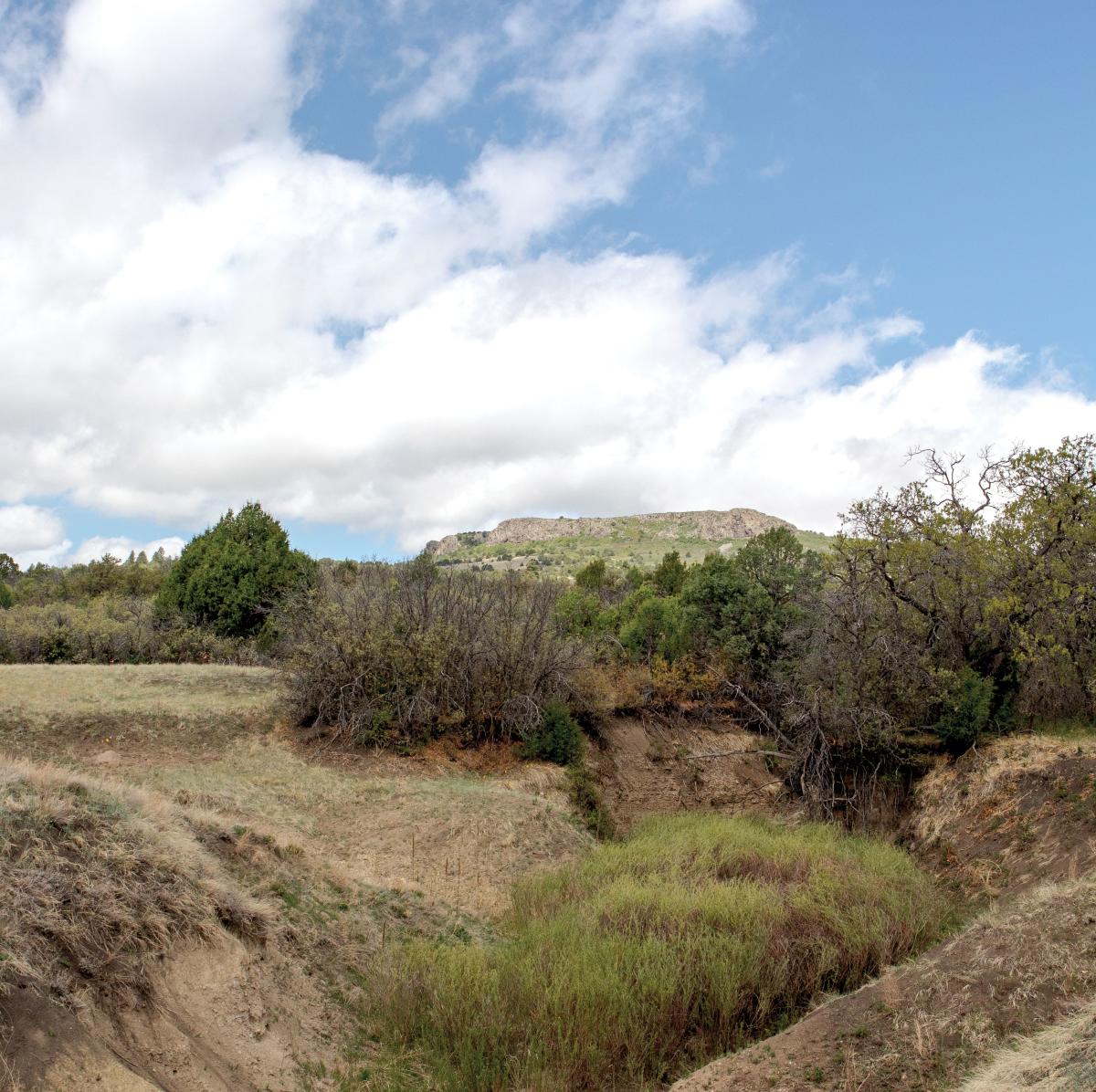 Varied terrain defines the state's north-eastern plains.